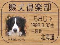 �Ԃ��a������̂g�o�ւf�n�I